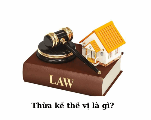 Thừa kế thế vị là gì?
